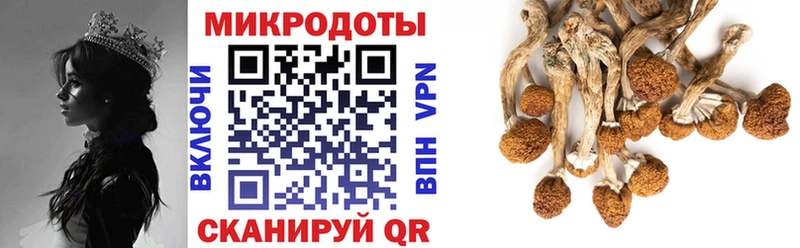 закладка  Данков  Галлюциногенные грибы Magic Shrooms 